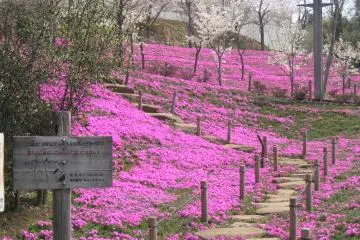 Izumi-no-Mori Park