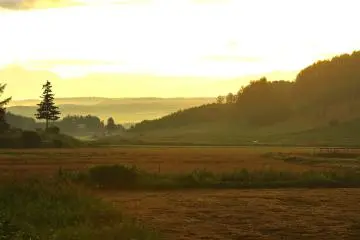 Paysage observé à l'aube, sur une petite route près de la Hanabito Kaido 237 (Route des Fleurs), en me rendant au Mont Asahi