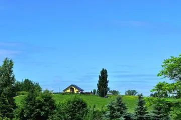L'arbre de Ken et Marry observé depuis la colline Zerubu (la colline des Herbes)