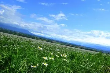 La colline Shuujitsu près d'Asahikawa.  J'ai incliné mon appareil photo en tentant désespérément de capturer la plus grande vue horizontale possible. 