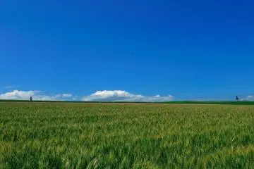 On dirait un paysage de carte postale !