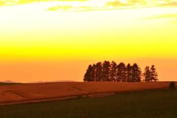 A la fin du spectaculaire coucher de soleil : "La colline avec des mélèzes et la maison au toît rouge"