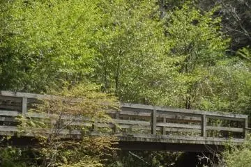 “Chamberlain’s Promenade” is a fun trail in a popular district—Miyanoshita. But the trail itself is not busy or crowded at all, and will provide a relaxing way to spend an hour after breakfast or lunch, in much the same way as Chamberlin himself might hav