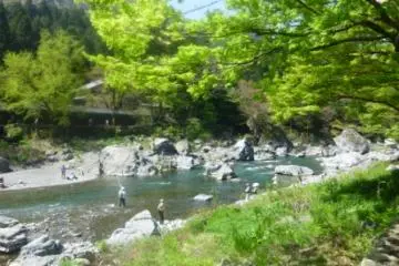 Fishing in the river