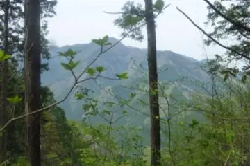 The view on the way down
