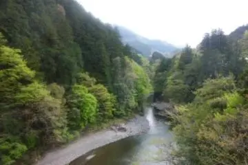The river near Okutama Station