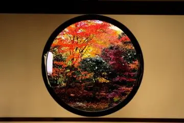 What I saw from the 'Window of Satori (Spiritual Awakening)' was brilliance (Photo: MASAYOSHI HIROSE)