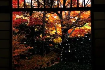 I meditated on the 'Window of Mayoi (Troubled Minds)' in a Zen-like trance (Photo: MASAYOSHI HIROSE)