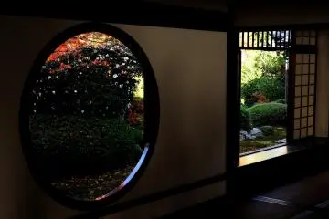 <p>I returned to the two windows...what a splendid day it was!</p>