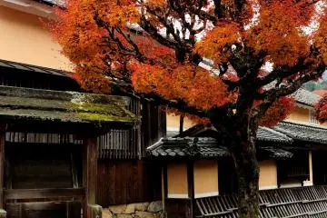 A Monzen-cho (une ville de temples), cette Machiya (maison traditionnelle en bois) apporte un sentiment d'authenticit&eacute;