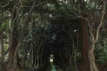 실제로는 더 어둡게 느껴진다. 참배 길에 깔린 돌이 미끄럼 방지