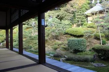 사면을 능숙하게 사용한 조원은 훌륭하다