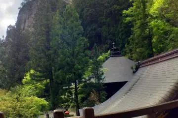 The view from the top of the ladder