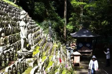 Buddhas lining the path