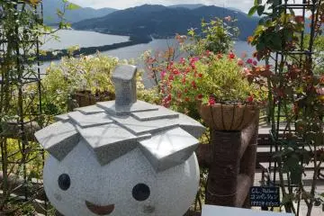<p>นี่ mascot ของที่นี่ ลูก pine tree</p>