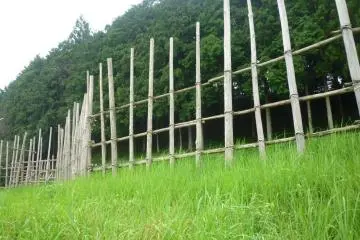 Nagashino battlefield palisade