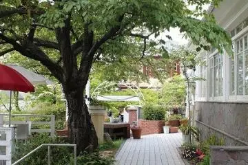 <p>Looking towards the gate from the front entrance</p>