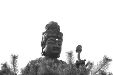 <p>Fukui Daibutsu and pine tree branches in B&amp;W</p>