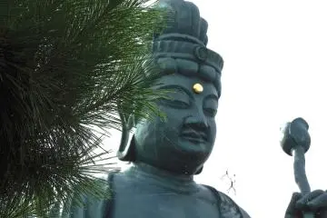 <p>Close-up look at Fukui Daibutsu with pine tree branches and a spider hanging on its web</p>