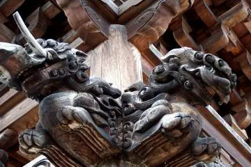 <p>Wonderful guardian dogs!</p>