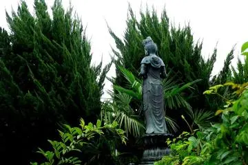 <p>A statue of Kannon peeps between overgrown cypress trees</p>