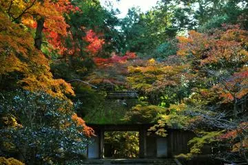 <p>This scenery reminded me anew that this is what I visited here for!</p>