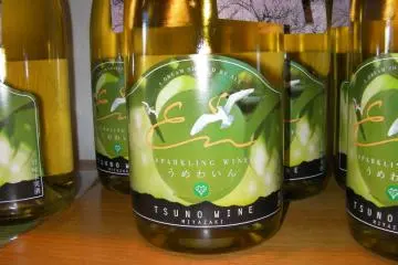 Sparkling (Photo: Paul Arenson)