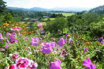 <p>Kannon se trouve au sommet d'une colline et voici la vue alentour &nbsp;</p>