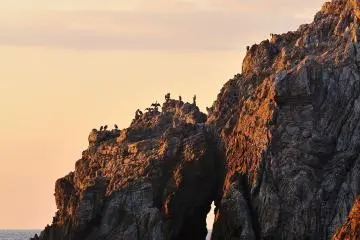 <p>On the tips of these jagged rocks, Japanese cormorants were waiting for the crack of dawn</p>