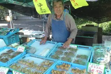 Fishcake vendor in the parking lot of the rest stop (Photo: Paul Arenson)