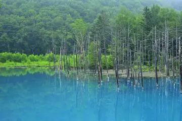 <p>They say the color of water here is created by an invisible colloid produced by mixed water unique to this terrain</p>
