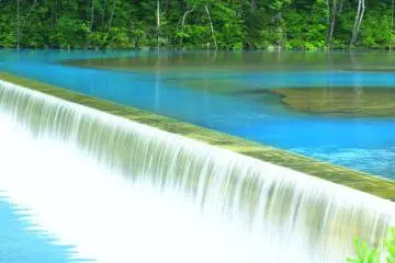 <p>It seems no life forms can survive in this blue water</p>