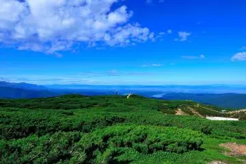<p>Short summer of Hokkaido is blanketed by indigo blue and deep green</p>