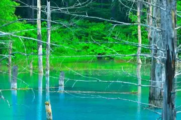 <p>Blue pond...depending on the angle where it's viewed from, some people call it 'green', but to me it's 'Biei Blue'</p>