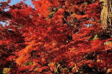 <p>I realized I had kept looking up for a few hours! My neck hurt!</p>
