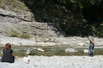 <p>มีคนพาน้องหมามาเที่ยว</p>