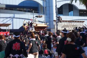 Gallery image
