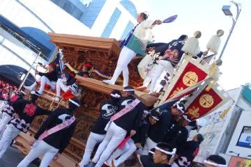 Gallery image