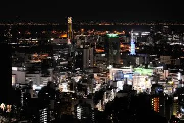 <p>The night-time view from Venus Bridge in Kobe Suwayama Park</p>