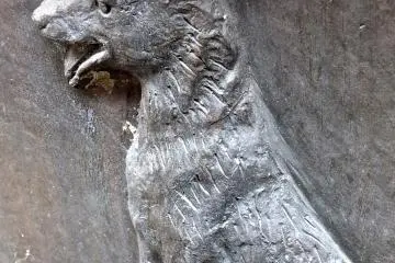 Gallery image