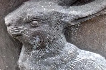 <p>Year of the Rabbit</p>