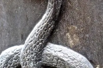 <p>Year of the Snake</p>
