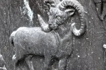 <p>Year of the Sheep</p>
