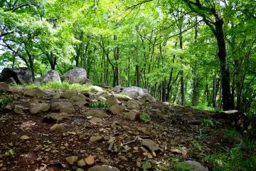 <p>A small ridge with tumbled rocks</p>