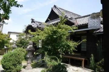 <p>Tiled roof of the main hall &nbsp;</p>