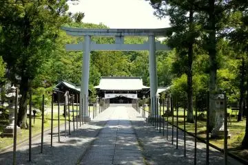 <p>The numerous small posts are not usually there, but the shrine was preparing for a festival</p>