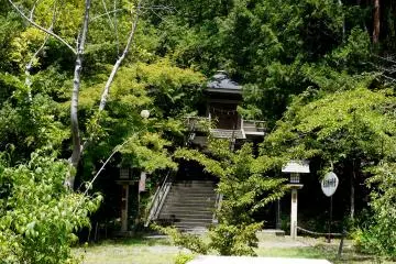 <p>Almost hidden in the trees</p>