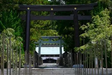 <p>Unusual black torii</p>