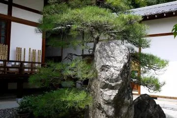 <p>A large rock standing in the garden</p>