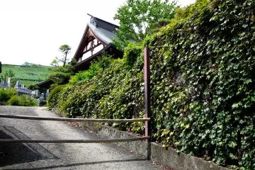 <p>This part of the temple was off-limits</p>